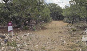 Lobo Ranch Road, Arroyo Hondo, NM 87513