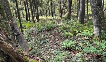360 Ives Hill Rd, Afton, NY 13730