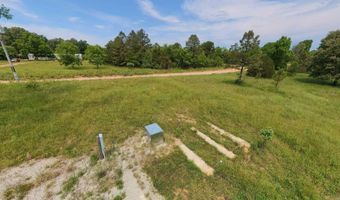 676 County Road 403, Alton, MO 65606