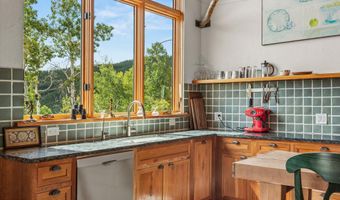 320 Hawk Ln, Basalt, CO 81621