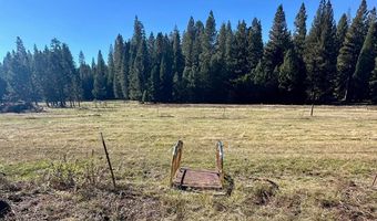 3561 Highway 4, Arnold, CA 95223