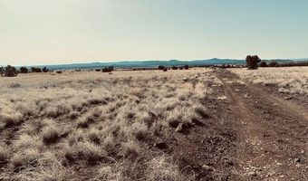 90 B Volcano Trl, Ash Fork, AZ 86320