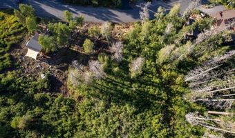 1037 Snow Crest Rd, Alpine Meadows, CA 96146
