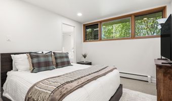 623 Johnson Dr, Aspen, CO 81611