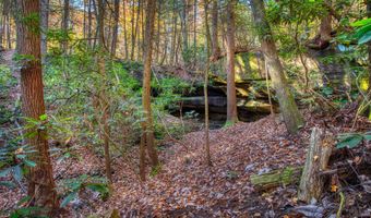 54 E Ridge Rd, Allardt, TN 38504