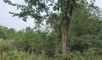 W N 10th Street, Baxter Springs, KS 66713