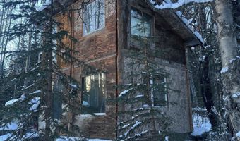 19396 N Fish Lake Rd, Chickaloon, AK 99674