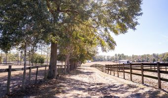 1720 SW 22nd Pl, Bell, FL 32619