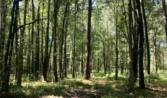 337 Weathers Farm Rd, Bowman, SC 29018
