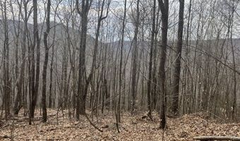 0 TBD Elleber Sods Rd, Bartow, WV 24920