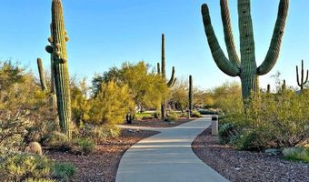 1651 W MORSE Dr, Anthem, AZ 85086