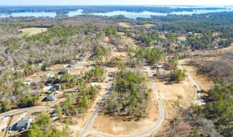 612 Misty Banks Dr, Chapin, SC 29036