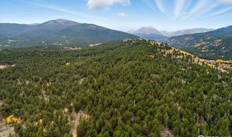437 County Road 84 W, Allenspark, CO 80510