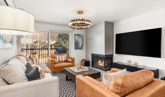 205 E Durant Ave Unit 1G, Aspen, CO 81611
