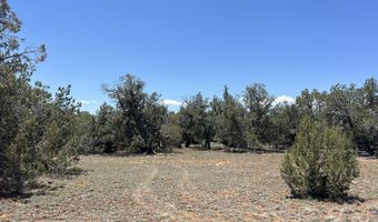 61 Norma Nw4 Rd, Ash Fork, AZ 86320
