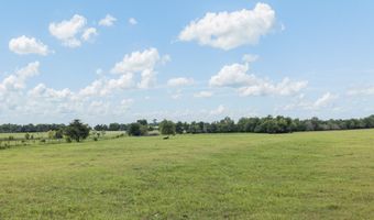 3738 Country Road 222, Anderson, TX 77830