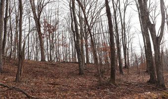 Route 12 Road, Alum Creek, WV 25003