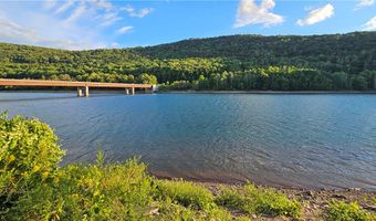 Shaver Hollow, Andes, NY 13731
