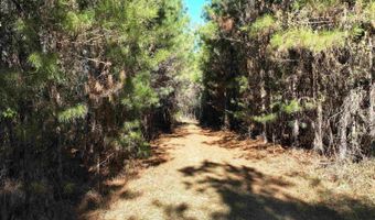 00 Hadwin Rd, Bamberg, SC 29003