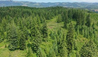 Tbd No Address Per Seller, Calder, ID 83808