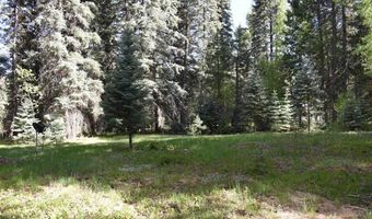 Vallecito Pl, Bayfield, CO 81122