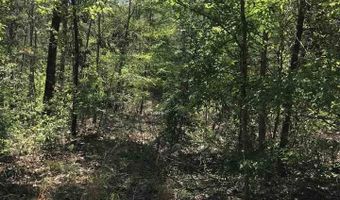 SHOAL CREST DRIVE lot 1 And 2, Ashville, AL 35953