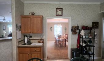 786 Blackberry Rd, Baconton, GA 31716