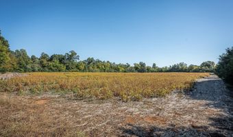 7 Acres Snake Rd, Athens, AL 35611