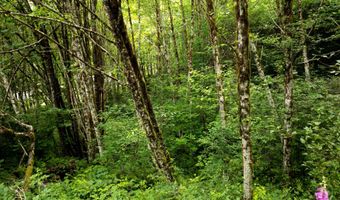 118 BALD EAGLE Rd, Ariel, WA 98603