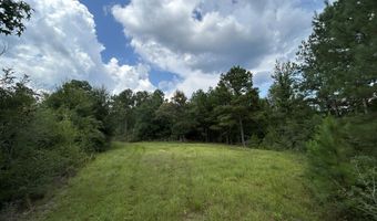 3951 MS-42, Bassfield, MS 39421