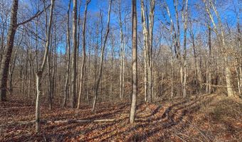 33056 Weaver Church Rd, Albany, OH 45710