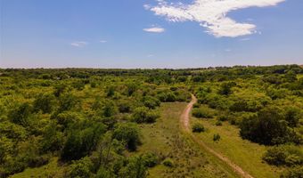 1471 Chapman Ct, Annetta, TX 76008