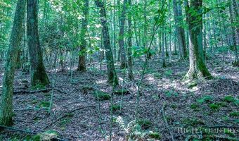 218 Old Mountain Rd, Banner Elk, NC 28604