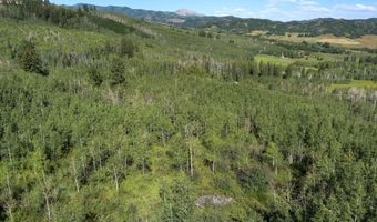 1833 W Buttermilk Rd, Aspen, CO 81611