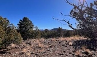 N8689 lot 002P, Concho, AZ 85924