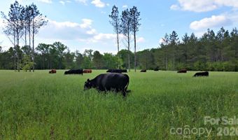 3175 Trotter Rd, Asheboro, NC 27205