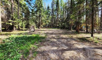 1365 MT Highway 209, Bigfork, MT 59911