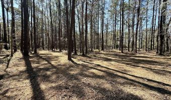 0 Lot 1 Creek Place Rd, Arapahoe, NC 28510