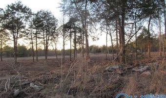 13 Hogs Ln, Albertville, AL 35951