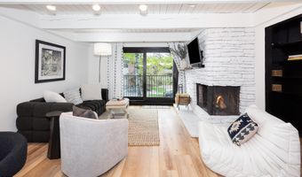 901 E Hyman Ave 4, Aspen, CO 81611