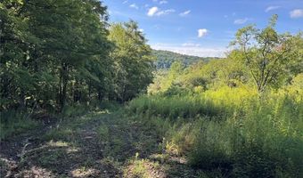 Lynch Road, Alfred, NY 14806