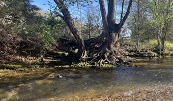 000 Tbd County Rd T-541, Ava, MO 65608
