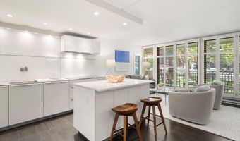 800 E Hopkins Ave A-3, Aspen, CO 81611