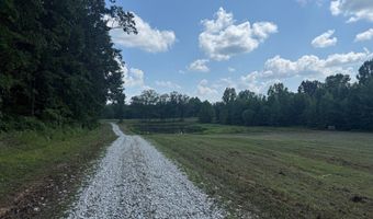 0000 Mifflin Rd, Beech Bluff, TN 38301