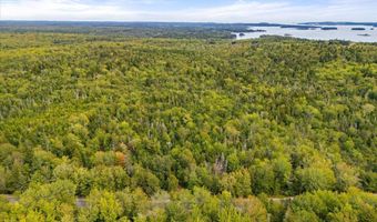 M20L2 E Side Road, Addison, ME 04606