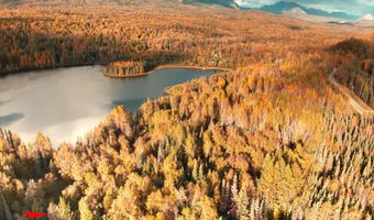 17261 N Rock Rose Ln, Chickaloon, AK 99674