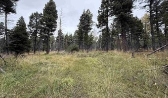 Cheerful Way lot 1469, Angel Fire, NM 87710