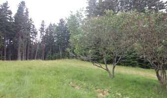 55 Black Duck Cove Rd, Beals, ME 04611