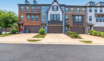8106 ZOE Pl, Alexandria, VA 22306