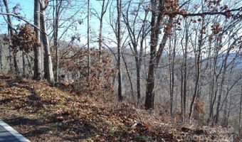 377 Elk Mountain Scenic Hwy, Asheville, NC 28804